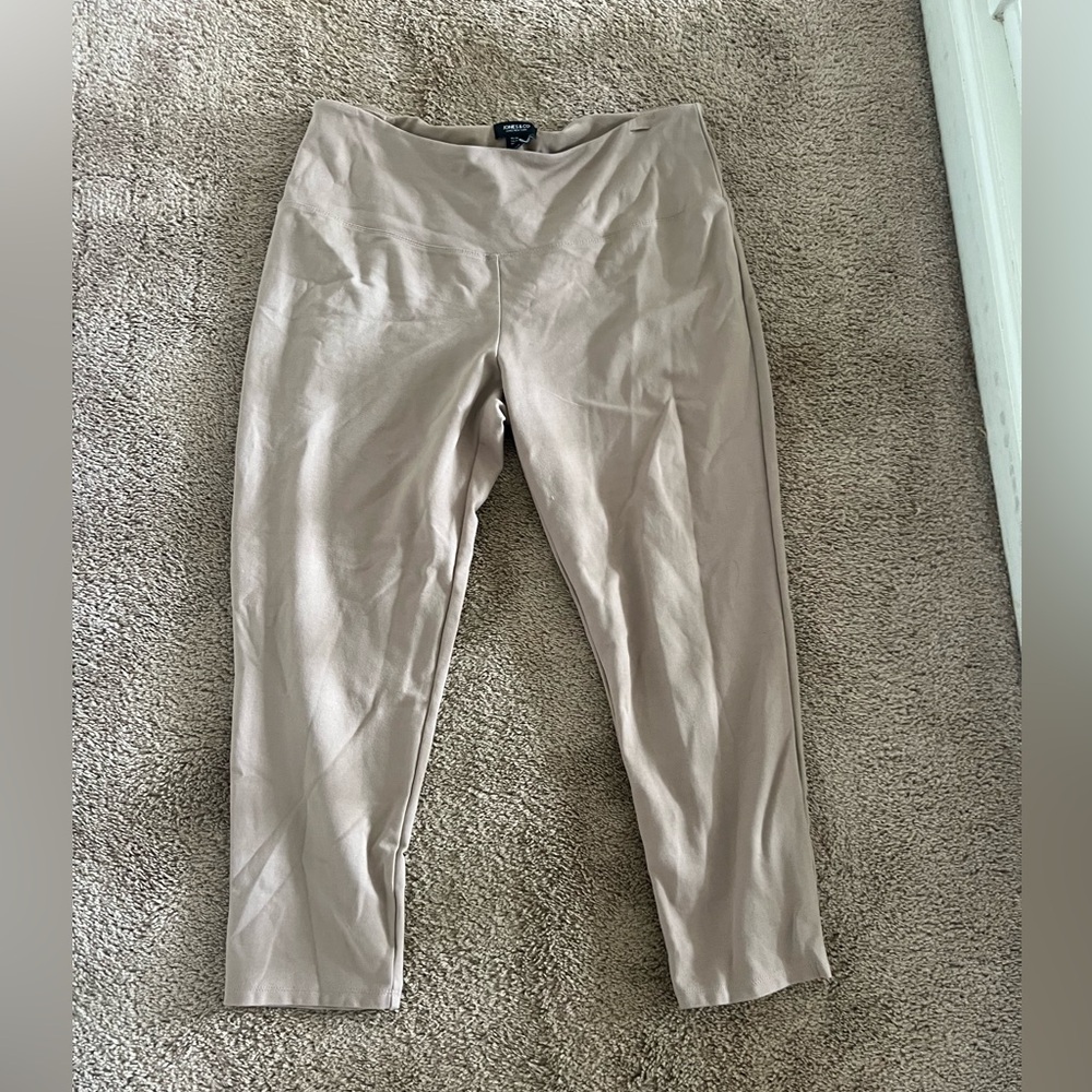 Tan Ponte Leggings Pants Plus 1X Jones New York